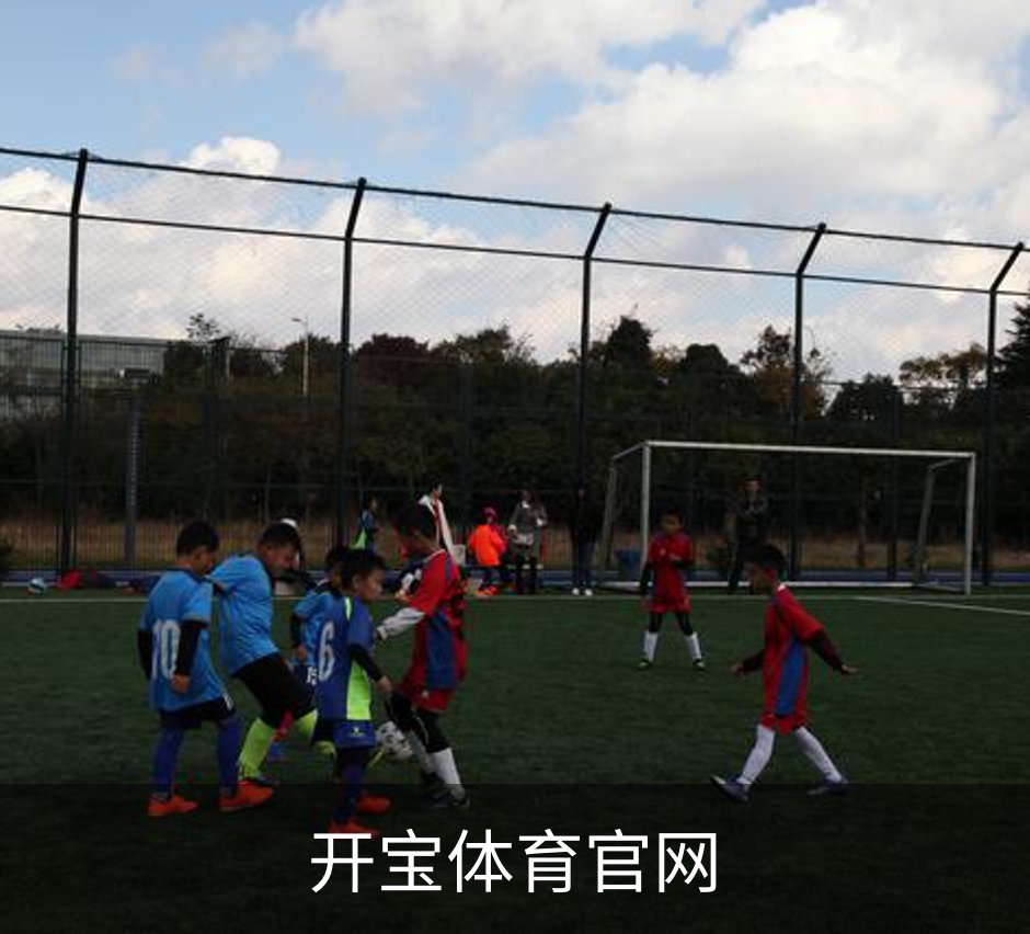 开宝体育官网概况