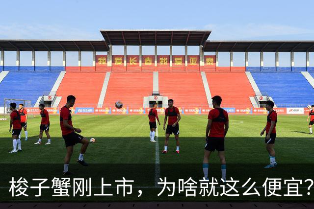 梭子蟹刚上市，为啥就这么便宜？什么原因导致？商贩：不好糊弄了