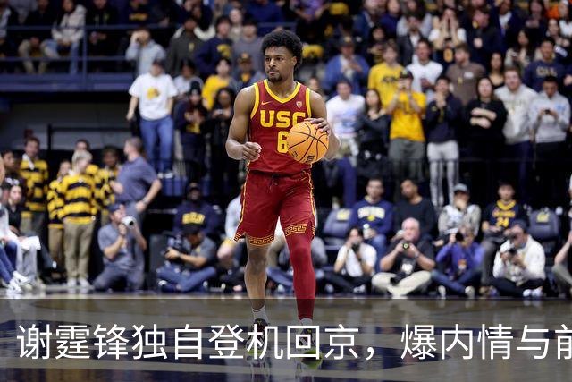 谢霆锋独自登机回京，爆内情与前妻有关，三胎谣言终结，柏芝成赢家